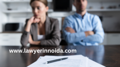 Divorce Lawyer: Essential Guide To Legal Assistance For Divorce